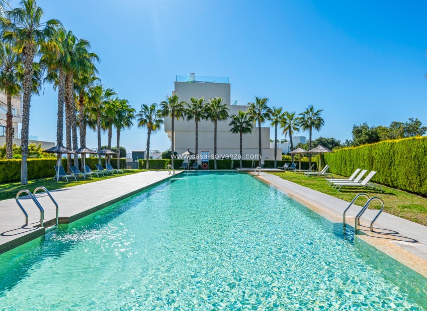 Revente - Appartement - Orihuela - Las Colinas Golf Resort