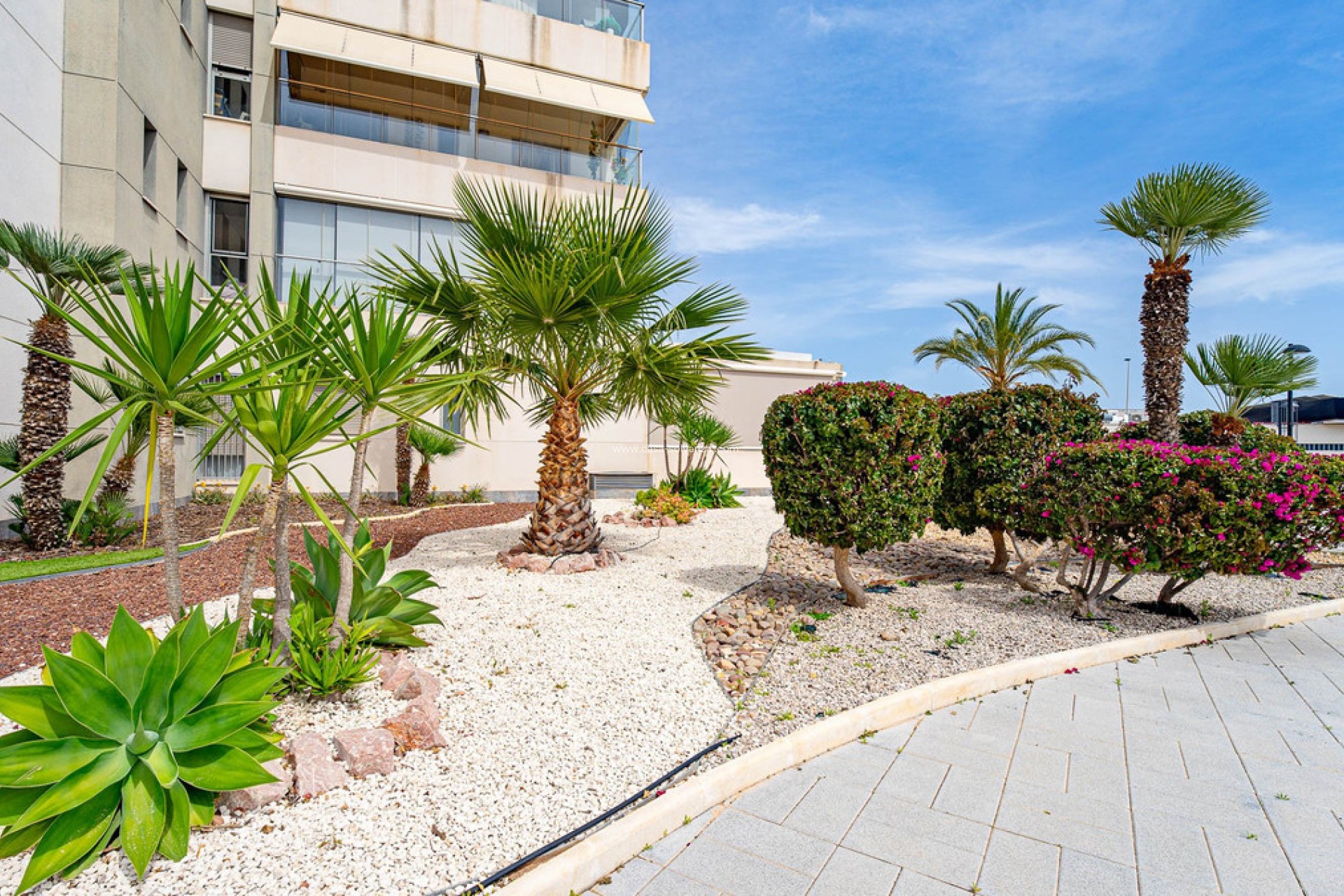 Revente - Appartement - Orihuela - Villamartin