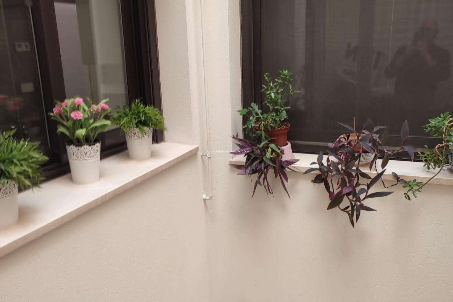 Revente - Appartement - Orihuela - Zona Centro