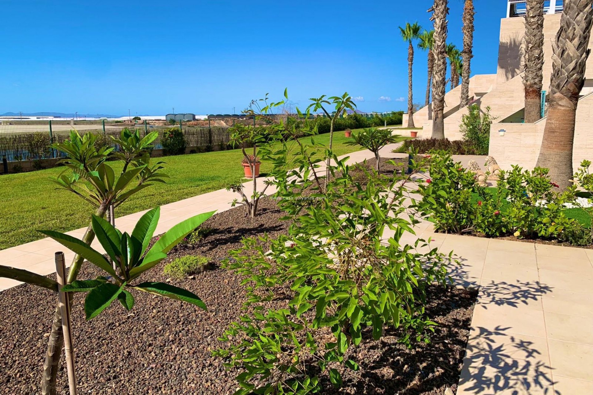 Revente - Appartement - Pilar de la Horadada - Costa Blanca