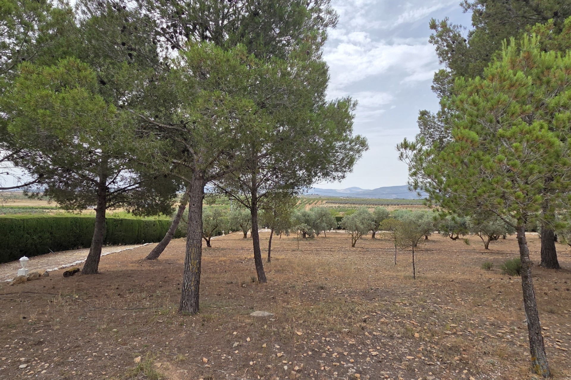 Revente - Appartement - Pinoso