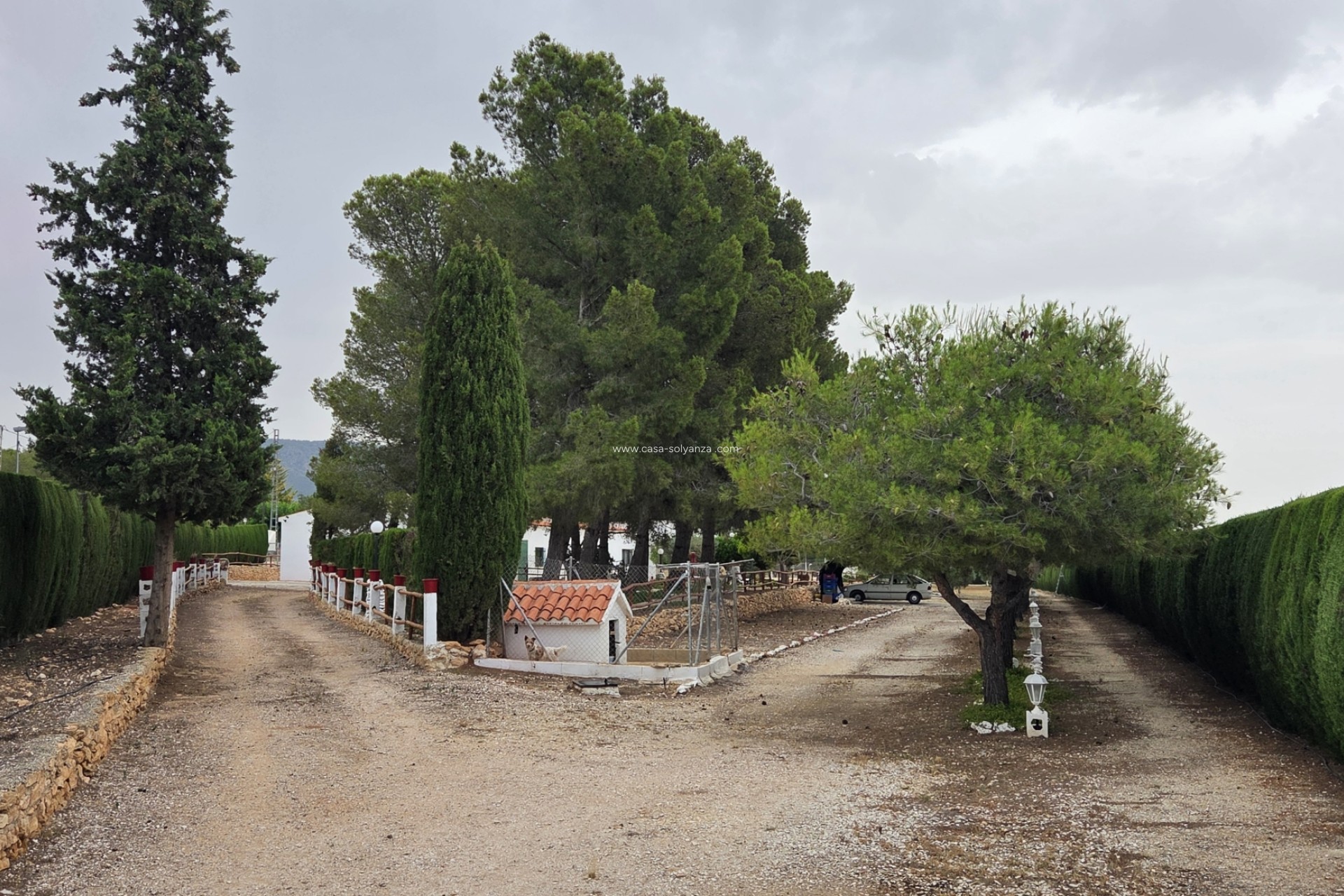 Revente - Appartement - Pinoso