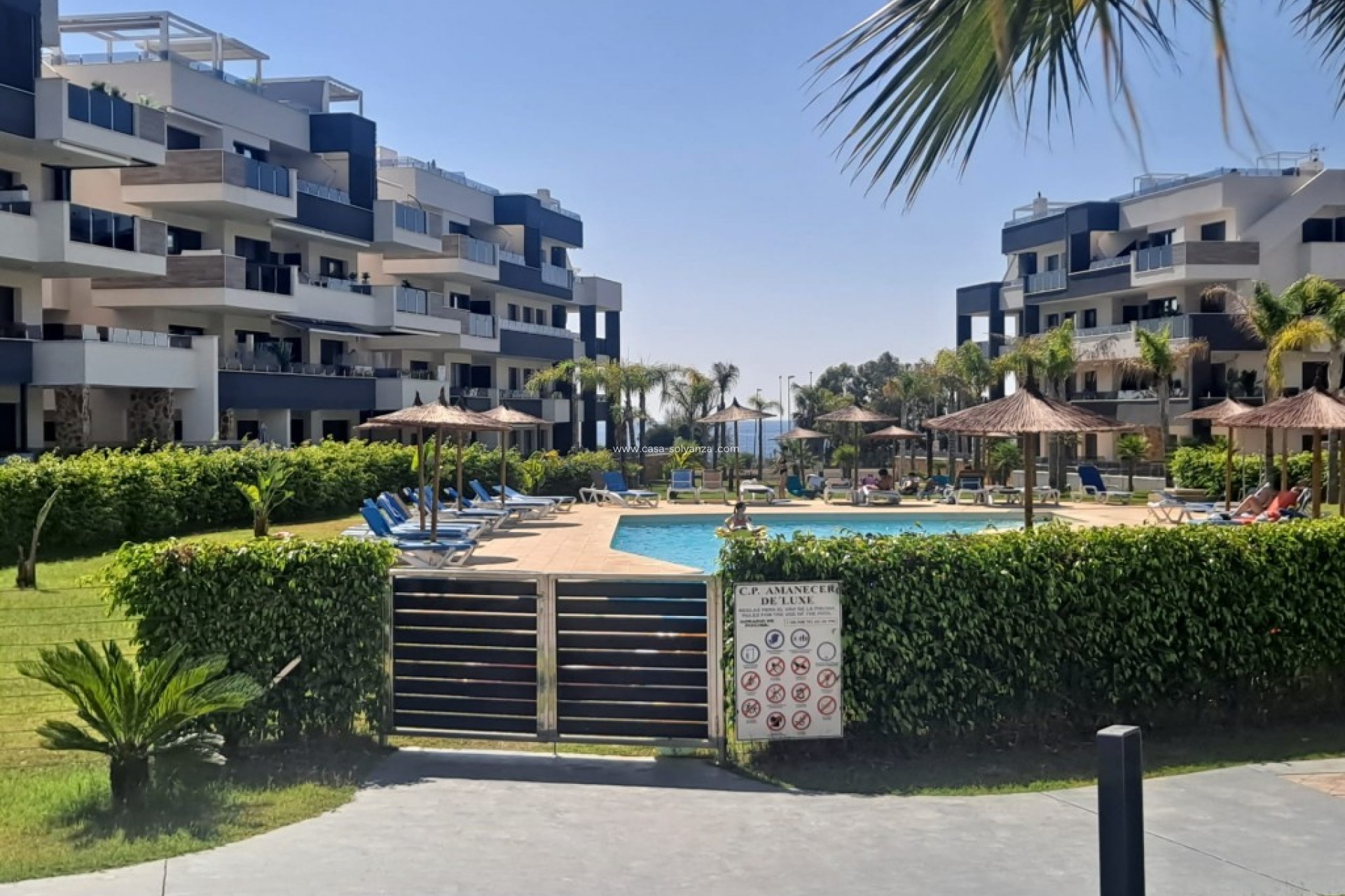 Revente - Appartement - Playa Flamenca - Costa Blanca