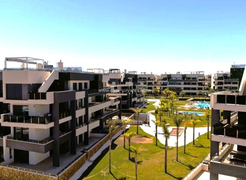 Revente - Appartement - Playa Flamenca - Costa Blanca