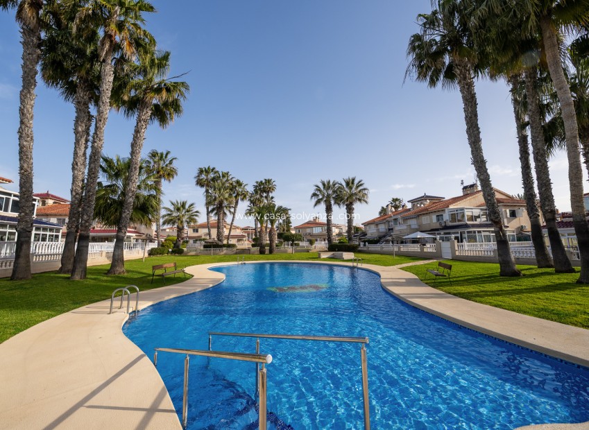 Revente - Appartement - Playa Flamenca - Zenia Mar