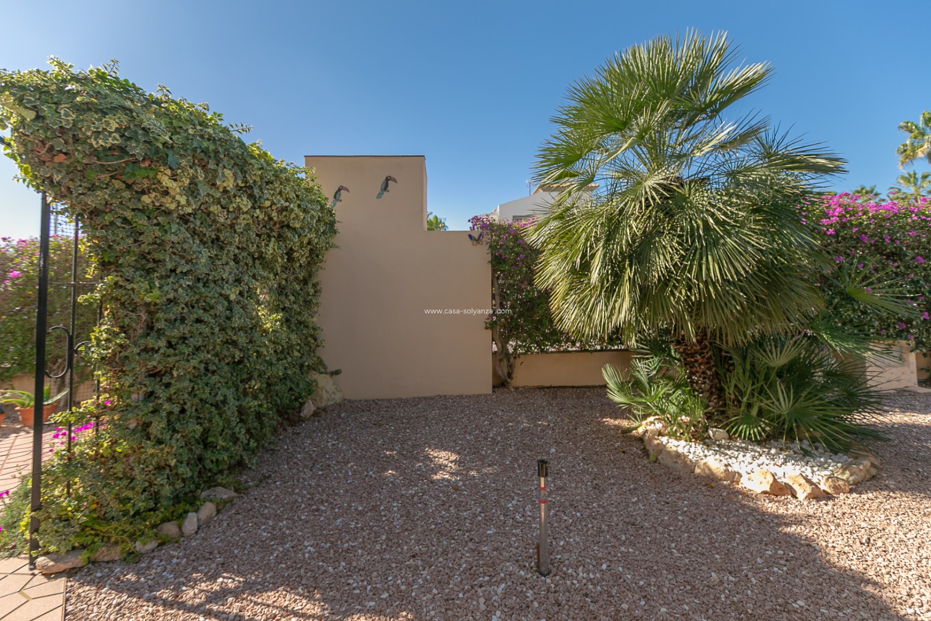 Revente - Appartement - Playa Flamenca