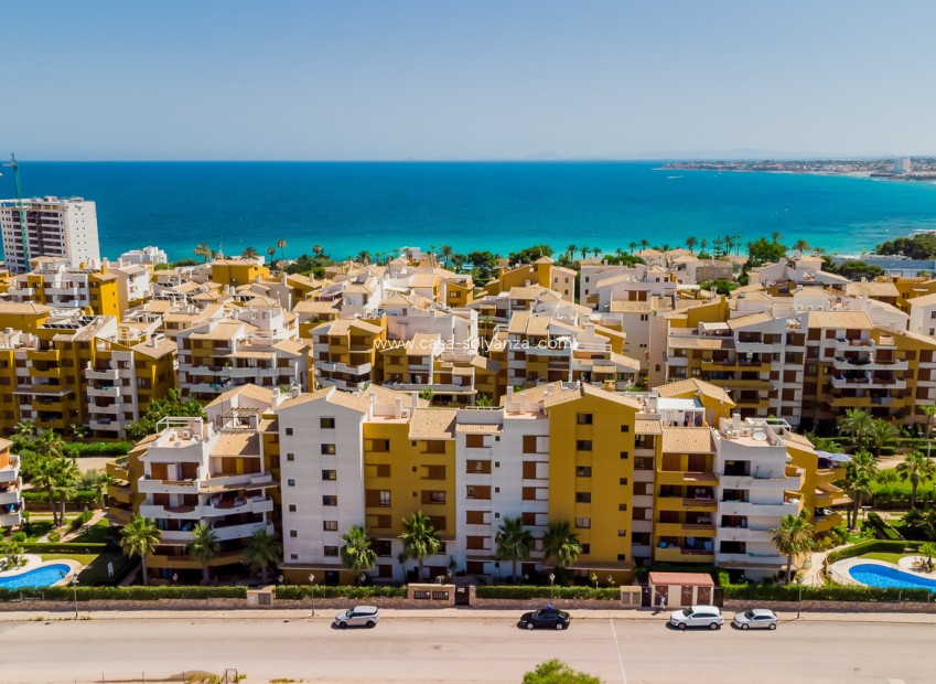 Revente - Appartement - Punta Prima - Costa Blanca