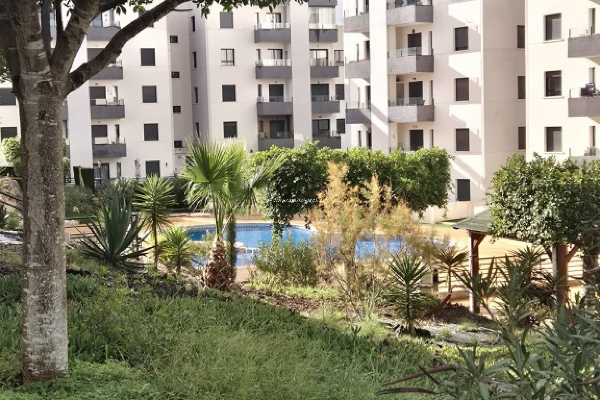 Revente - Appartement - San Miguel de Salinas - Inland