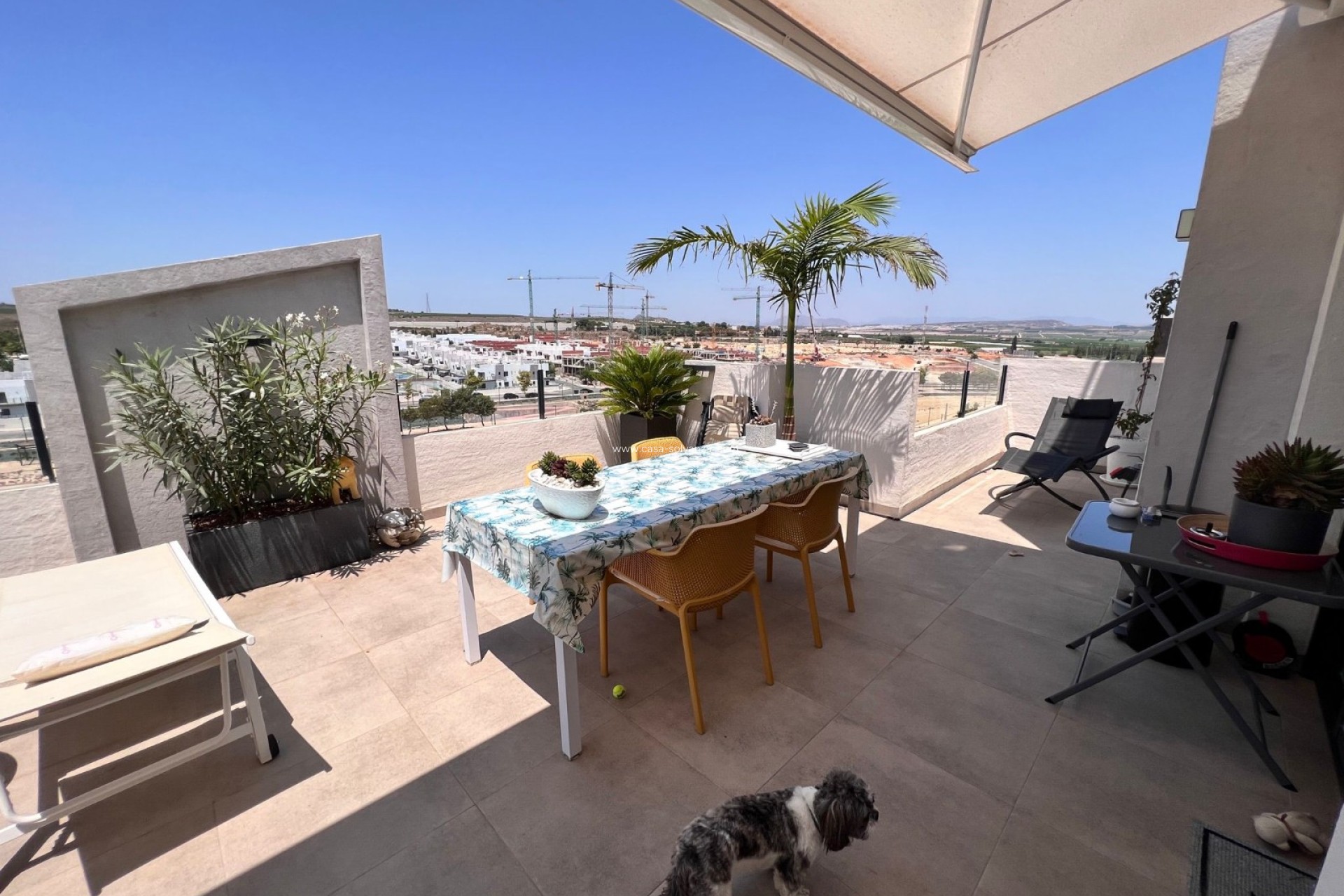 Revente - Appartement - San Miguel de Salinas - Inland