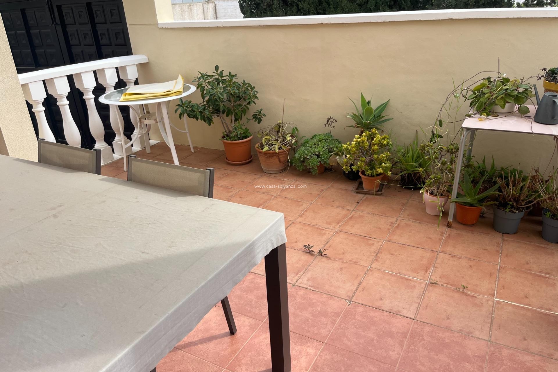 Revente - Appartement - San Miguel de Salinas - Las Filipinas