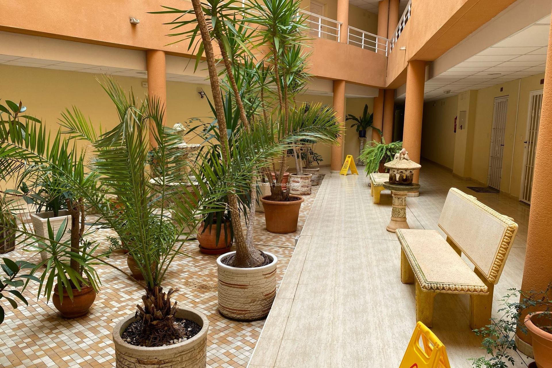 Revente - Appartement - San Miguel de Salinas - Pueblo 9