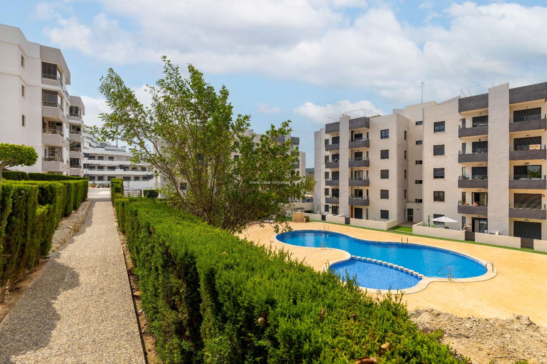 Revente - Appartement - San Miguel de Salinas