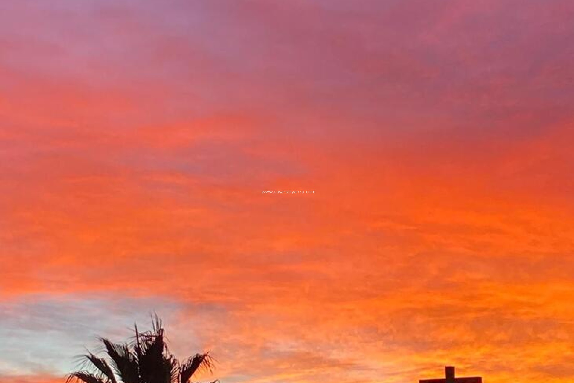 Revente - Appartement - Sucina - Inland