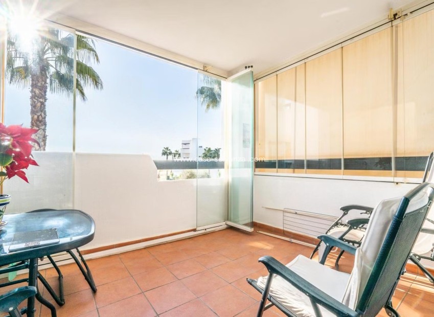 Revente - Appartement - Terrazas de la Torre - Inland