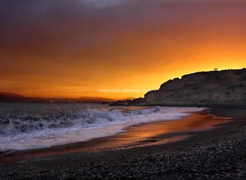 Revente - Appartement - Torrevieja - 0