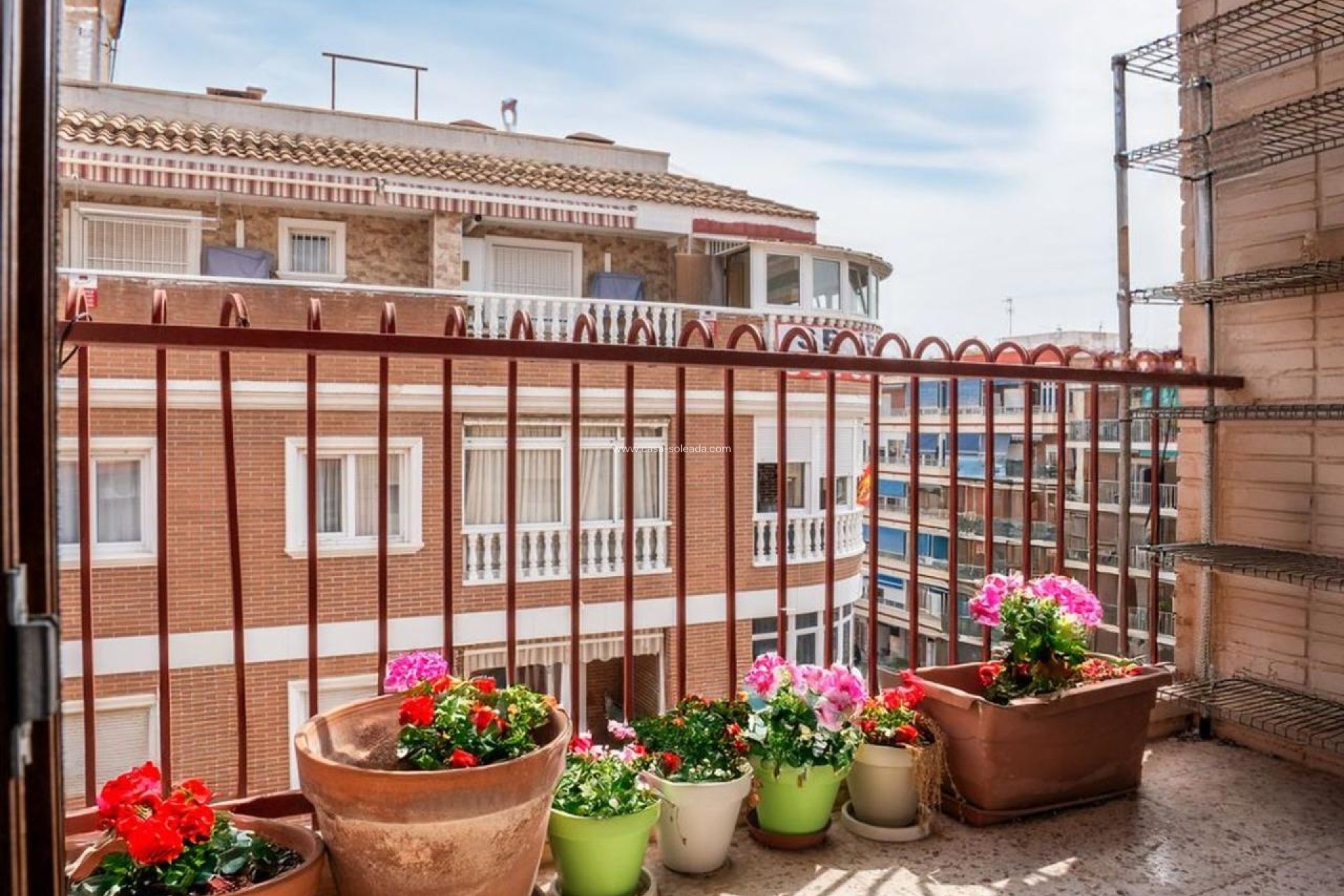 Revente - Appartement - Torrevieja - Acequion