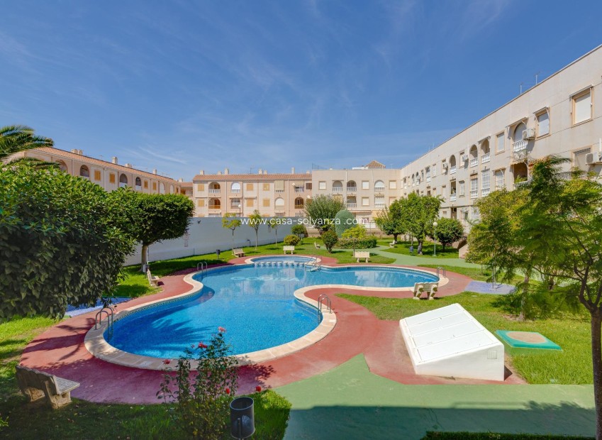 Revente - Appartement - Torrevieja - Acequion