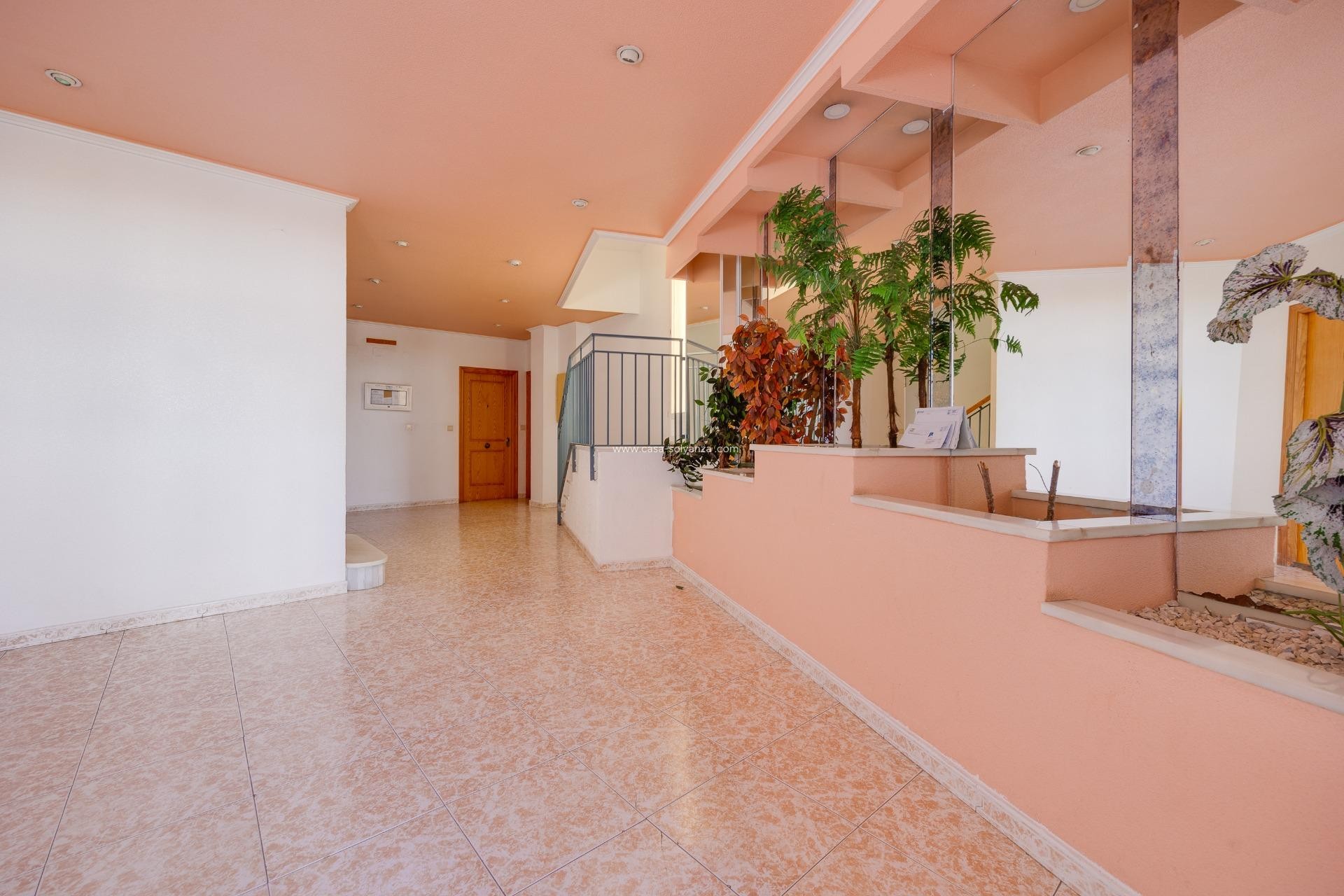 Revente - Appartement - Torrevieja - Acequion