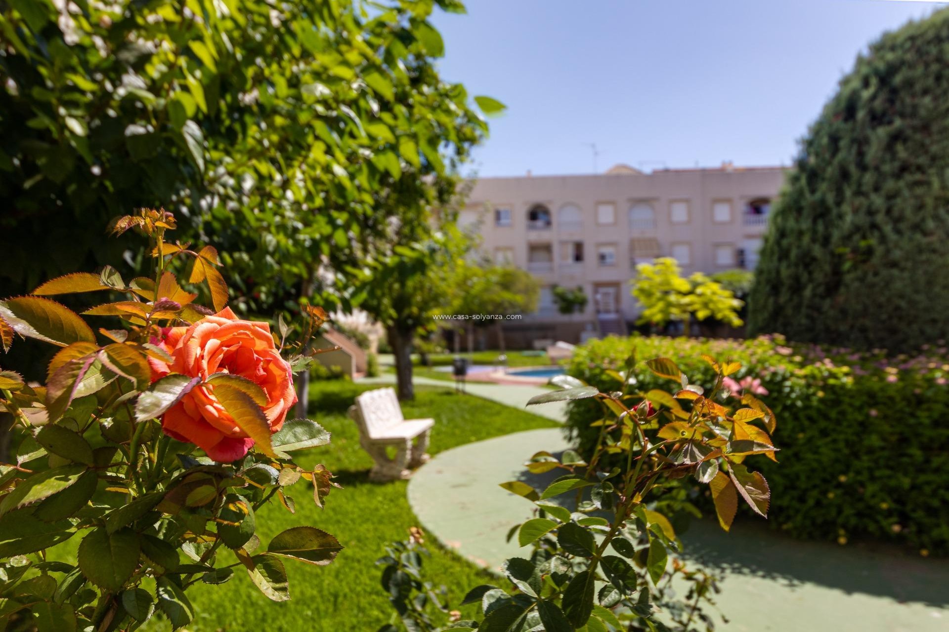 Revente - Appartement - Torrevieja - Acequion