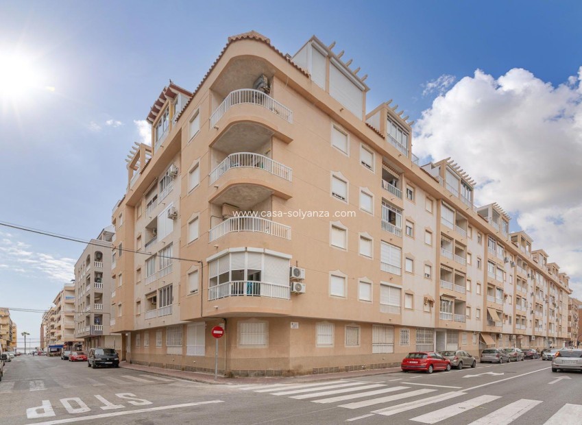 Revente - Appartement - Torrevieja - Acequion