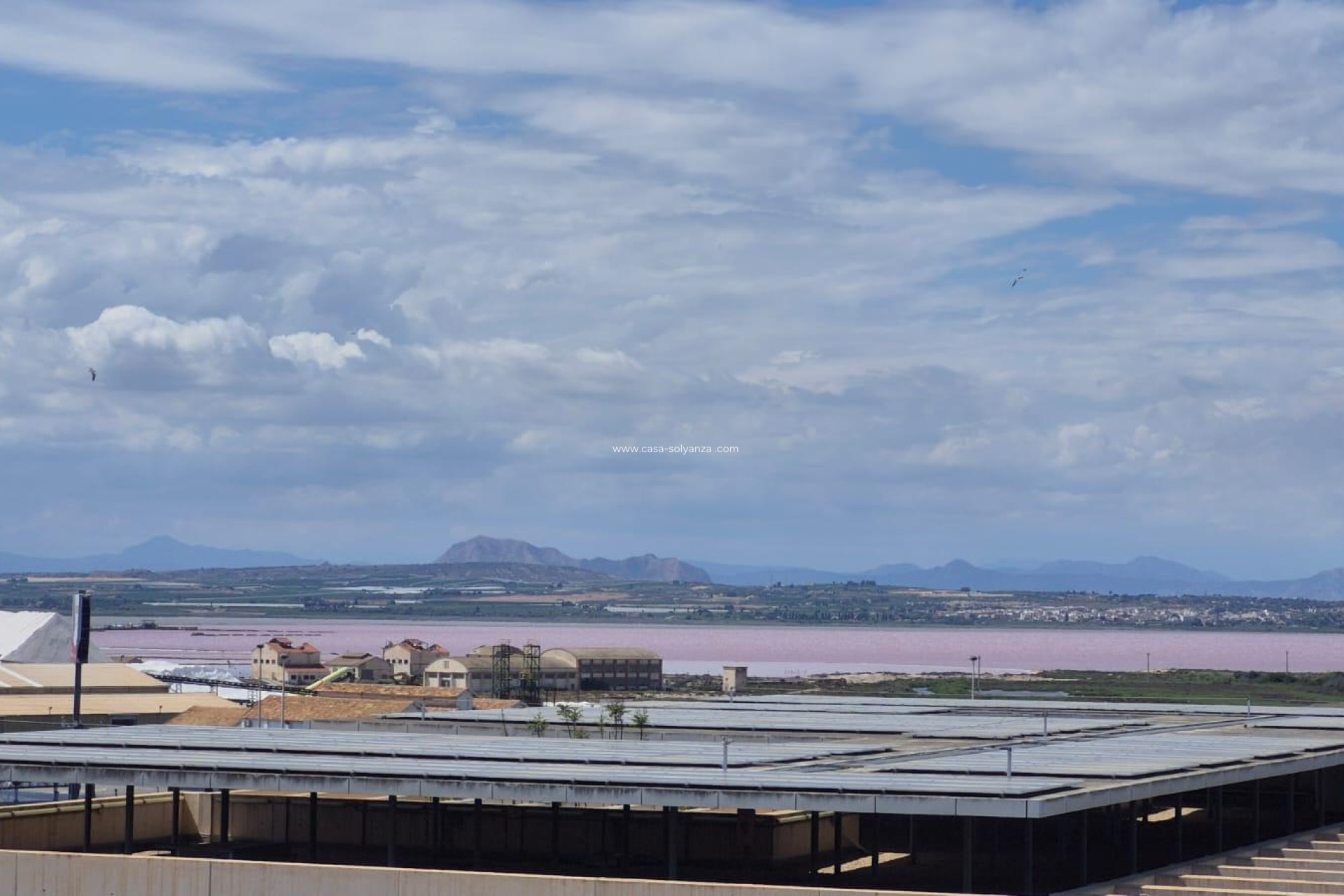 Revente - Appartement - Torrevieja - Acequion