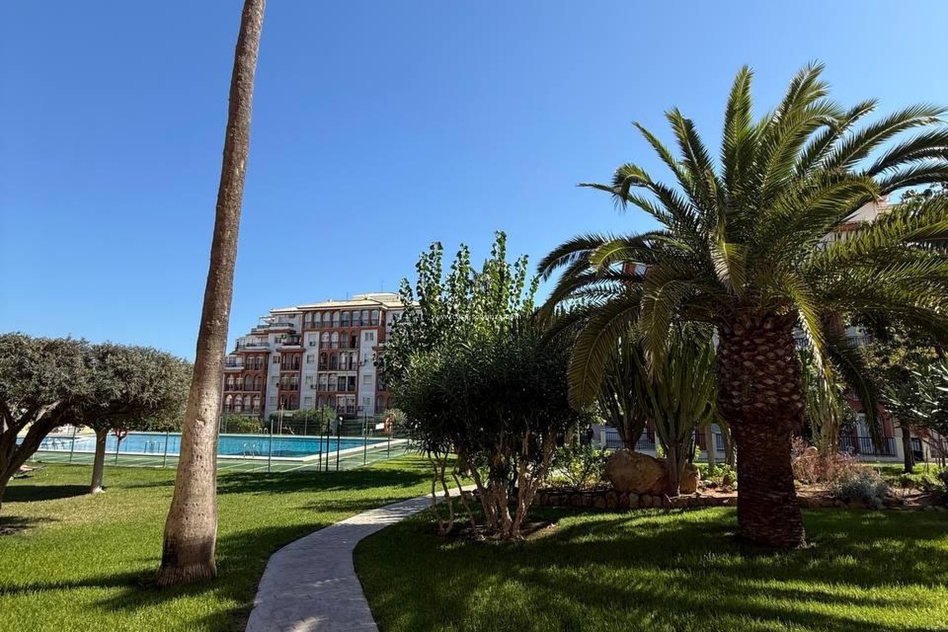 Revente - Appartement - Torrevieja - Aguas nuevas