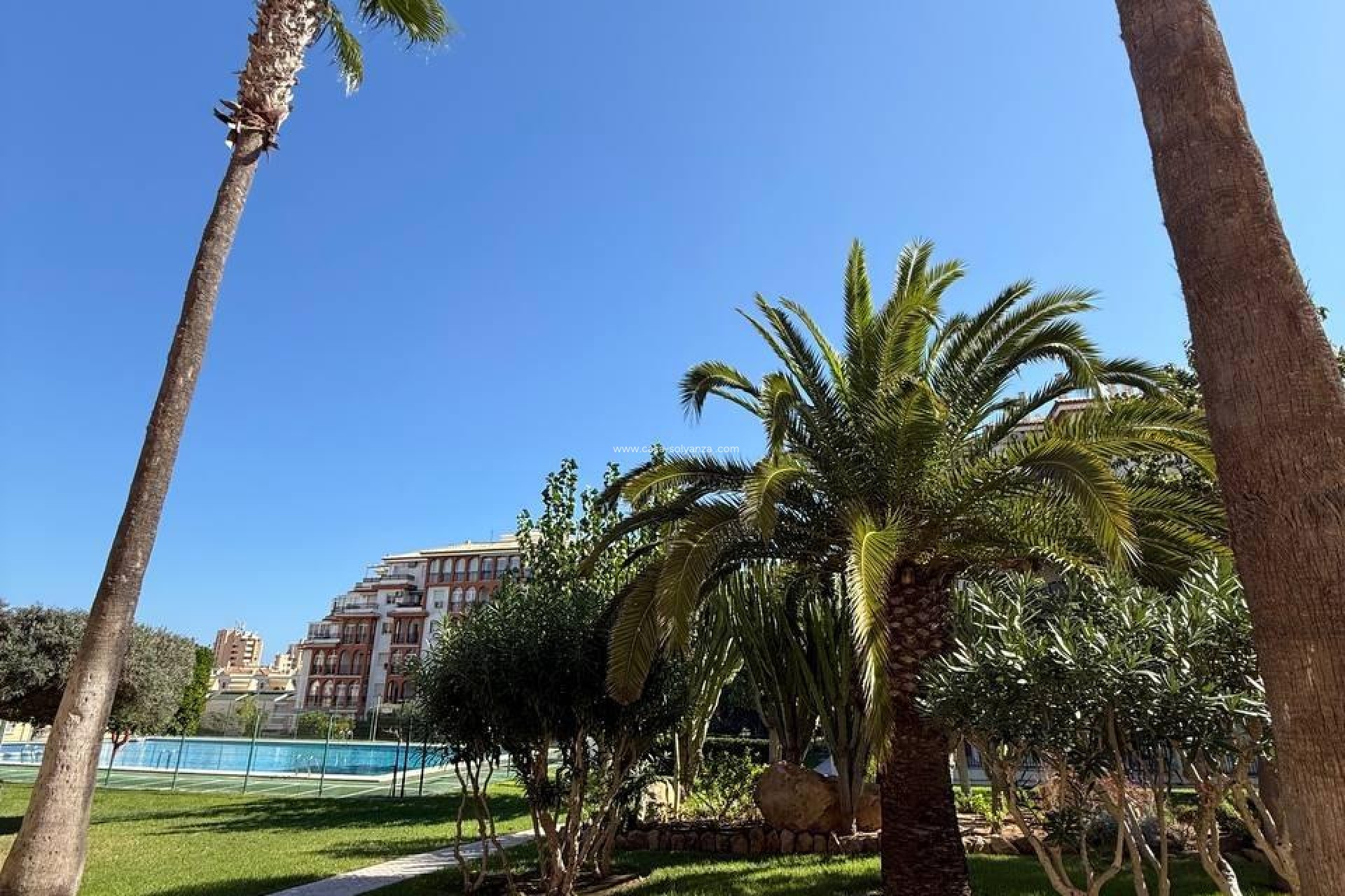 Revente - Appartement - Torrevieja - Aguas nuevas