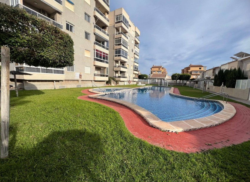 Revente - Appartement - Torrevieja - Aguas nuevas