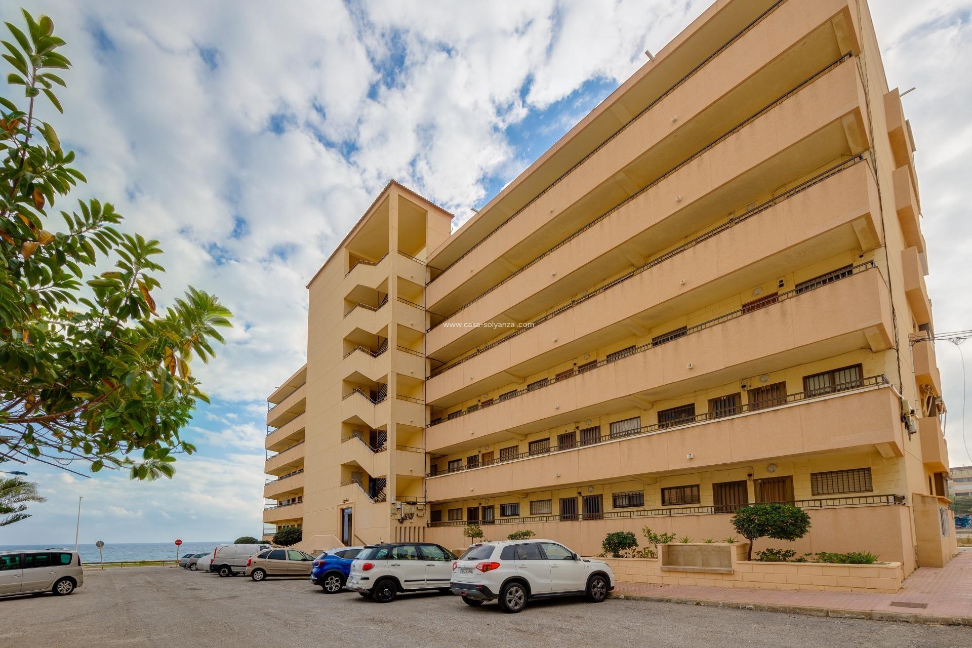 Revente - Appartement - Torrevieja - Cabo cervera