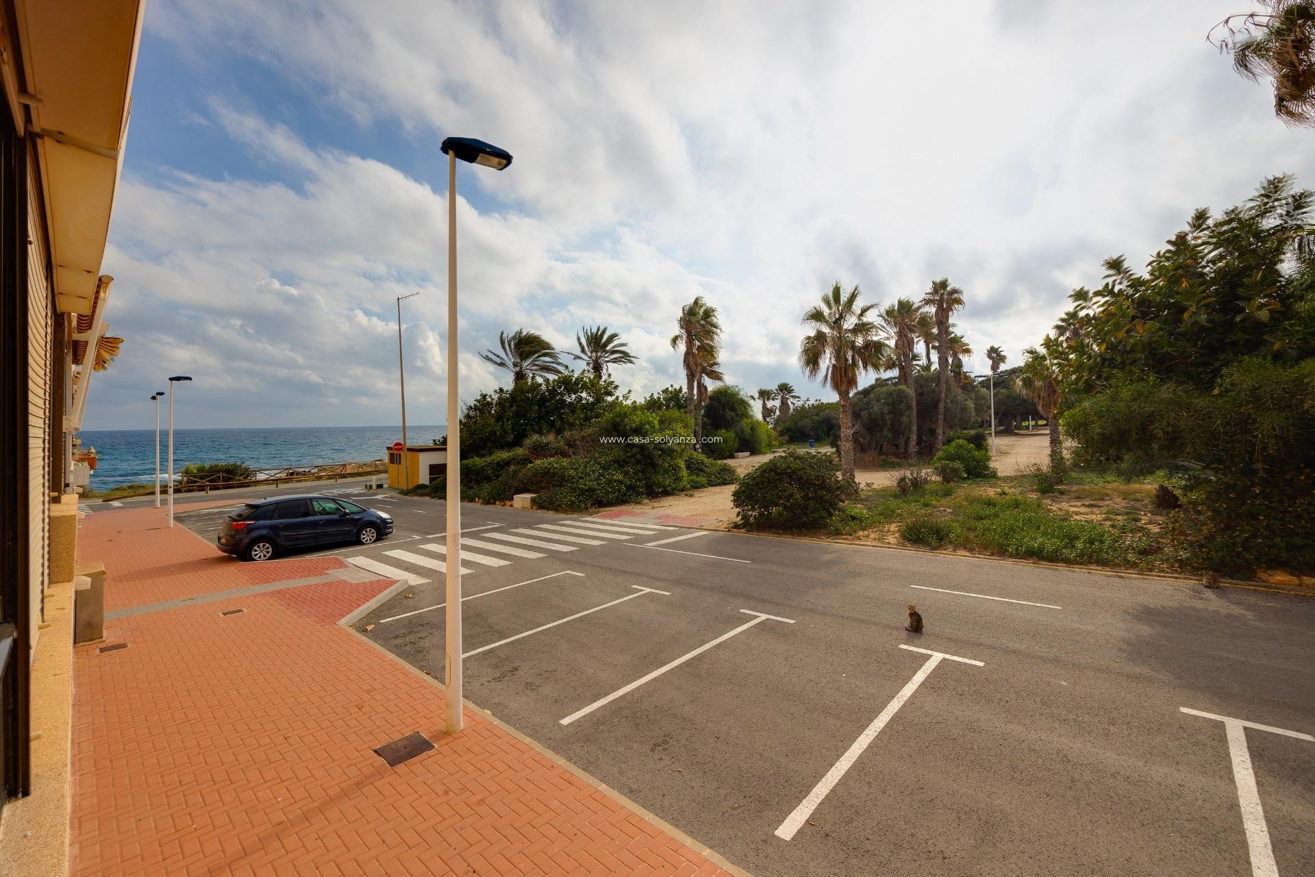 Revente - Appartement - Torrevieja - Cabo cervera