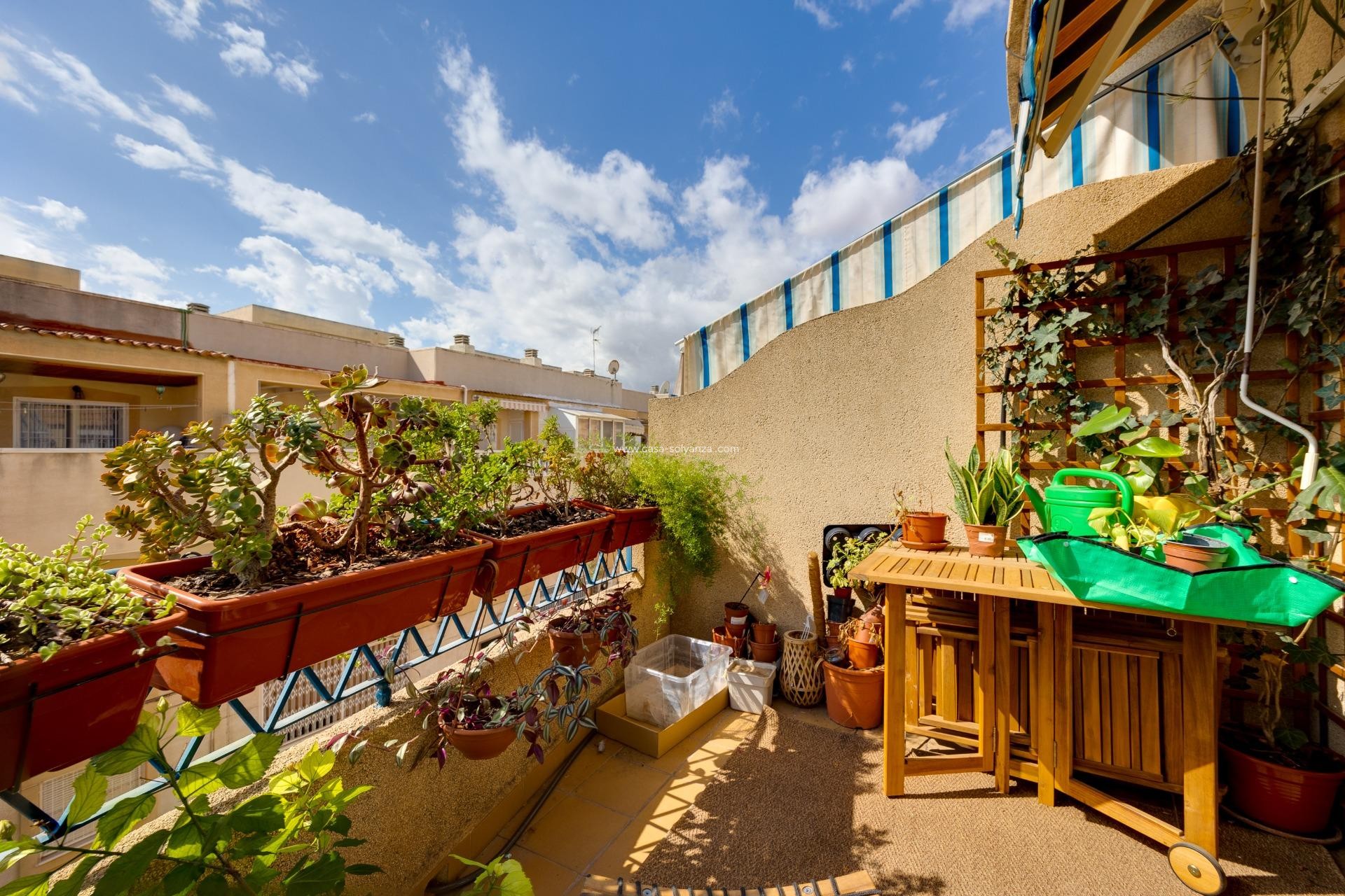 Revente - Appartement - Torrevieja - Calas Blanca