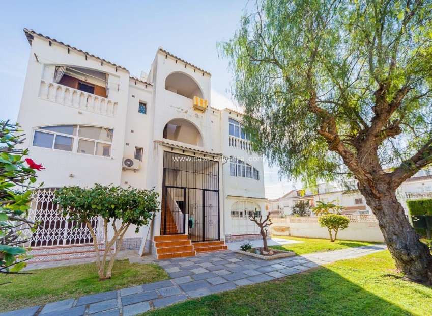Revente - Appartement - Torrevieja - Calas Blanca