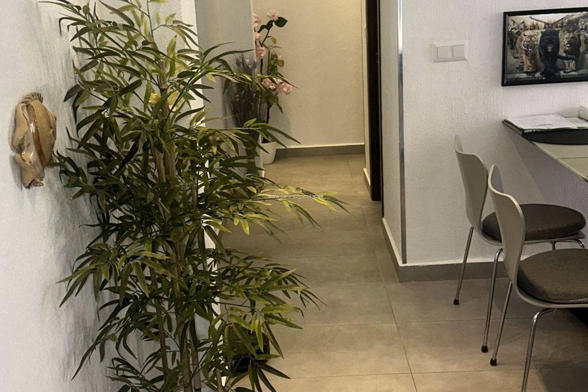 Revente - Appartement - Torrevieja - Center