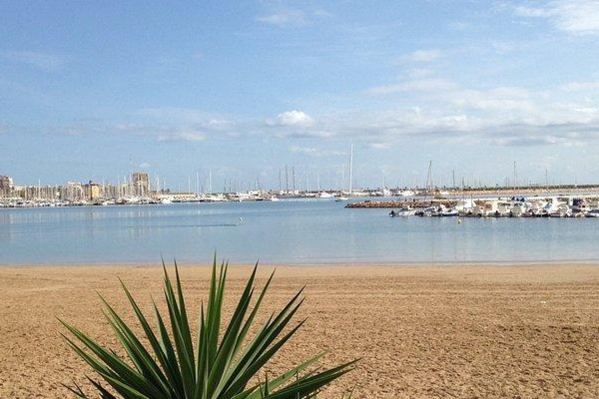 Revente - Appartement - Torrevieja - Center