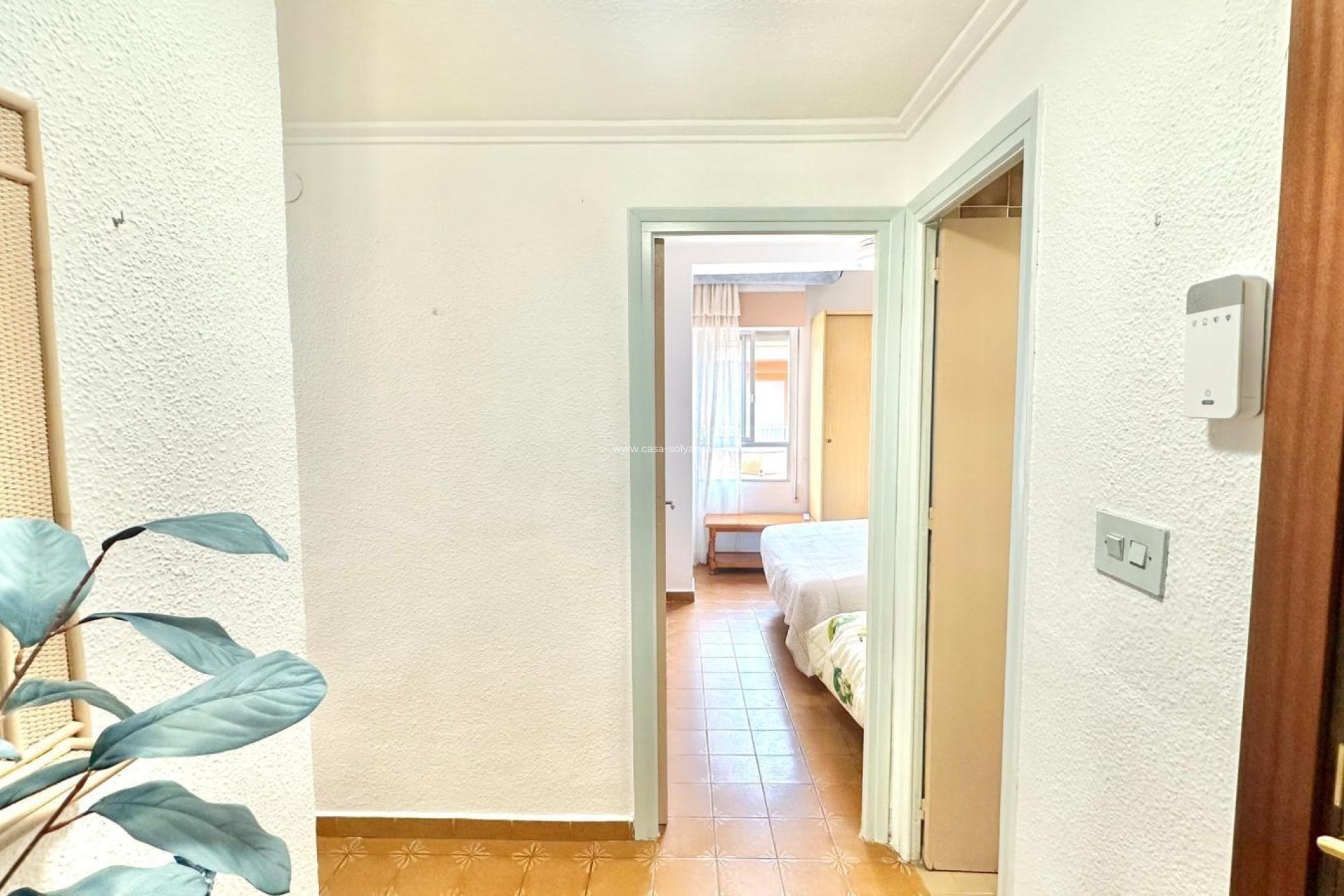 Revente - Appartement - Torrevieja - Center