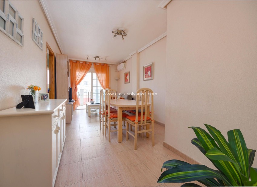 Revente - Appartement - Torrevieja - Center