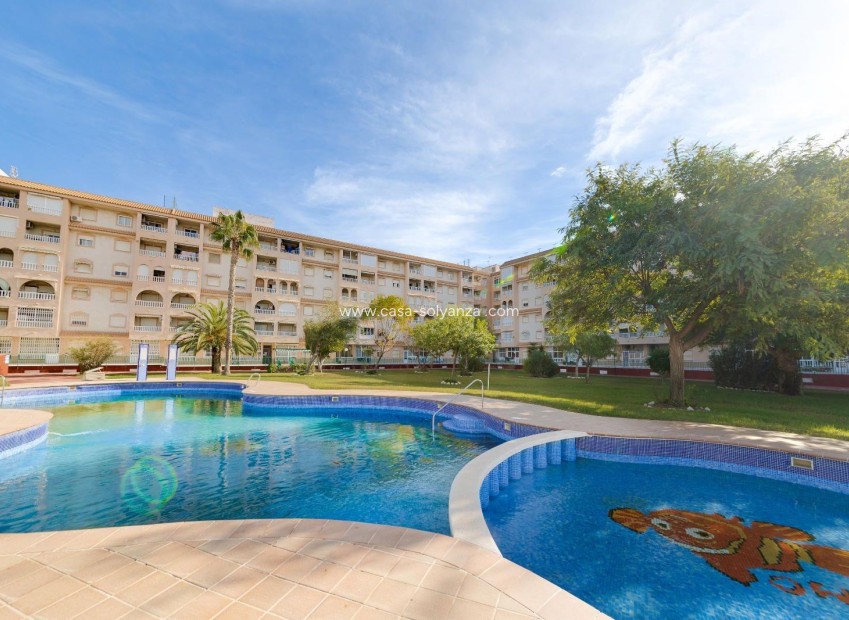 Revente - Appartement - Torrevieja - Center
