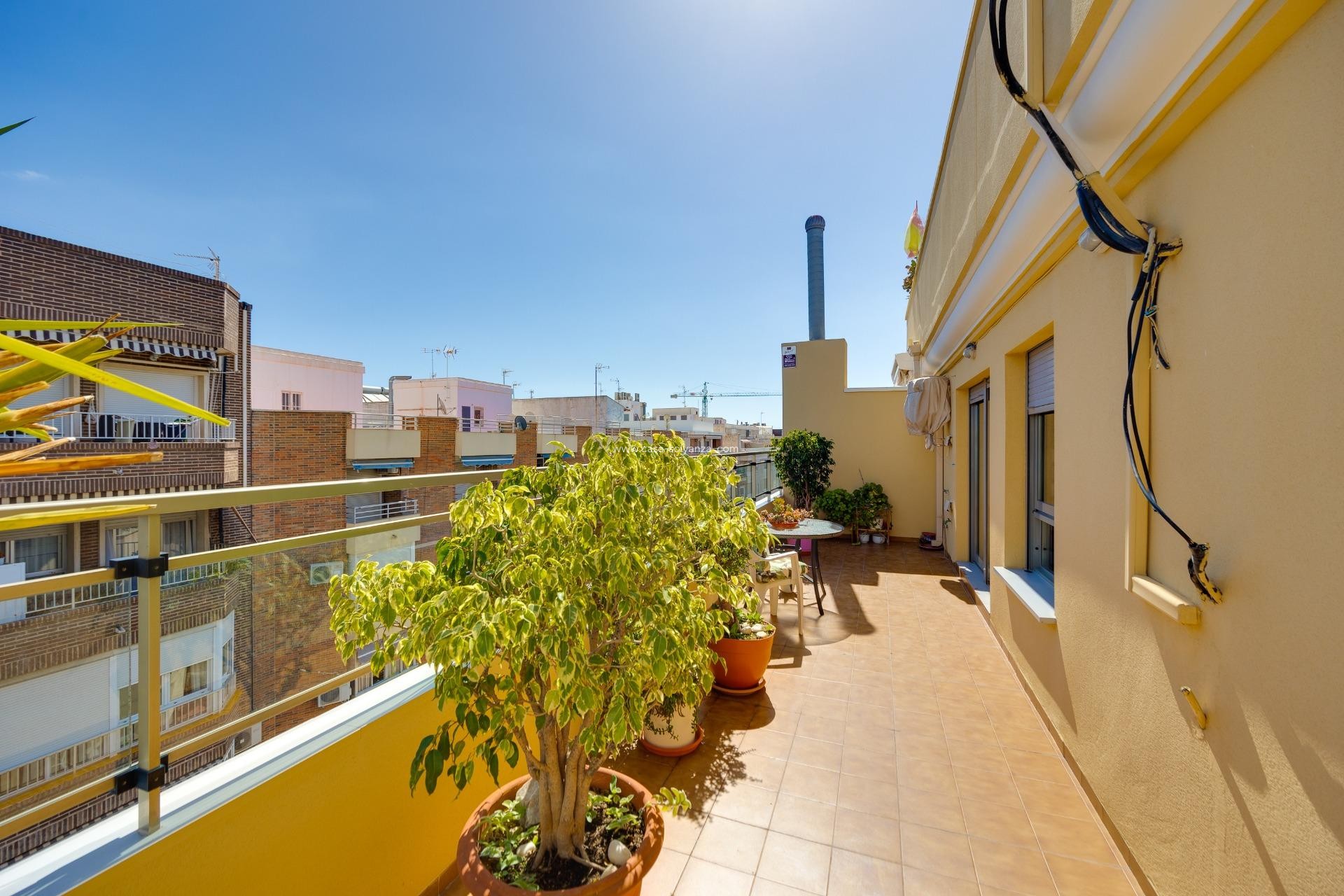 Revente - Appartement - Torrevieja - Center
