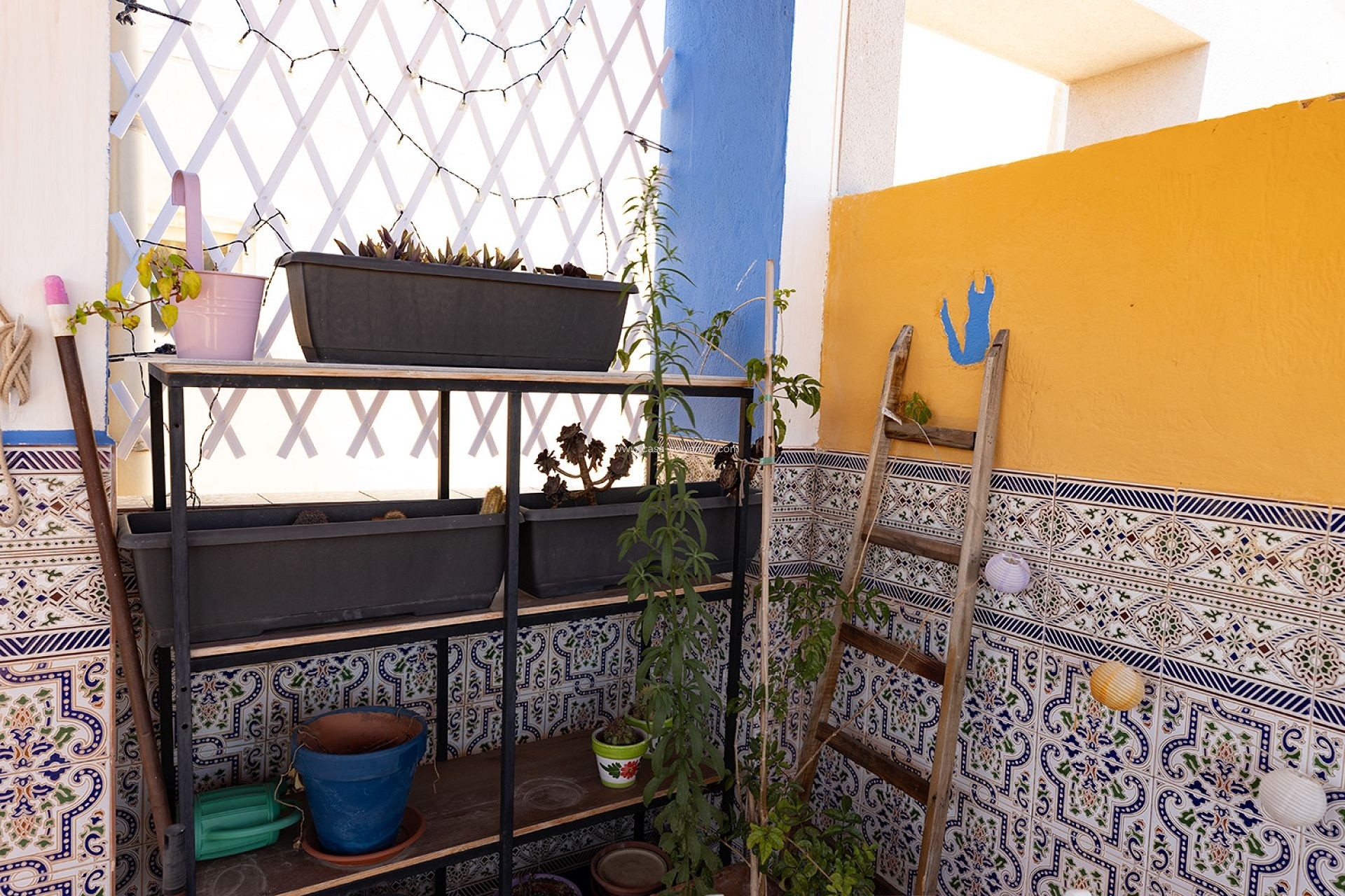 Revente - Appartement - Torrevieja - Costa Blanca
