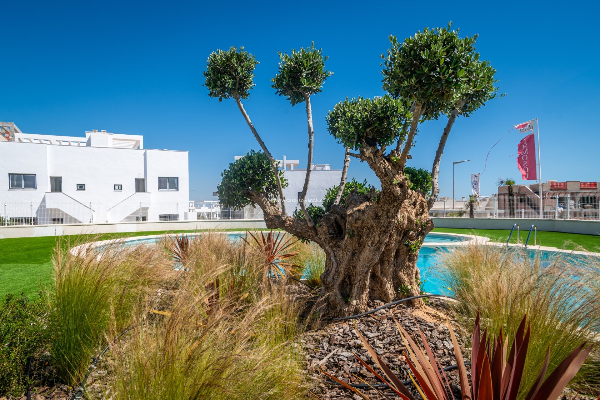 Revente - Appartement - Torrevieja - Costa Blanca