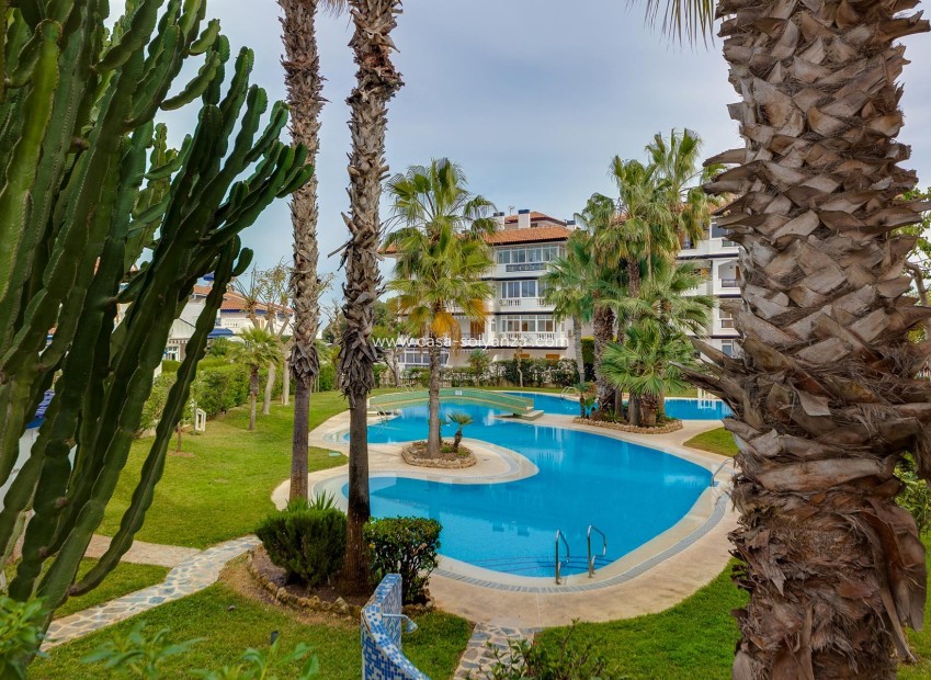Revente - Appartement - Torrevieja - Costa Blanca