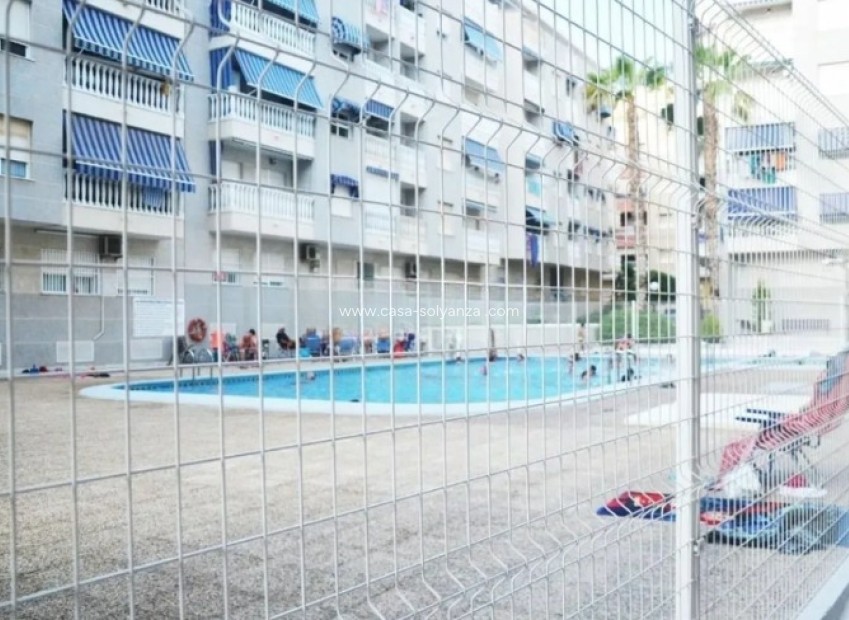 Revente - Appartement - Torrevieja - Costa Blanca