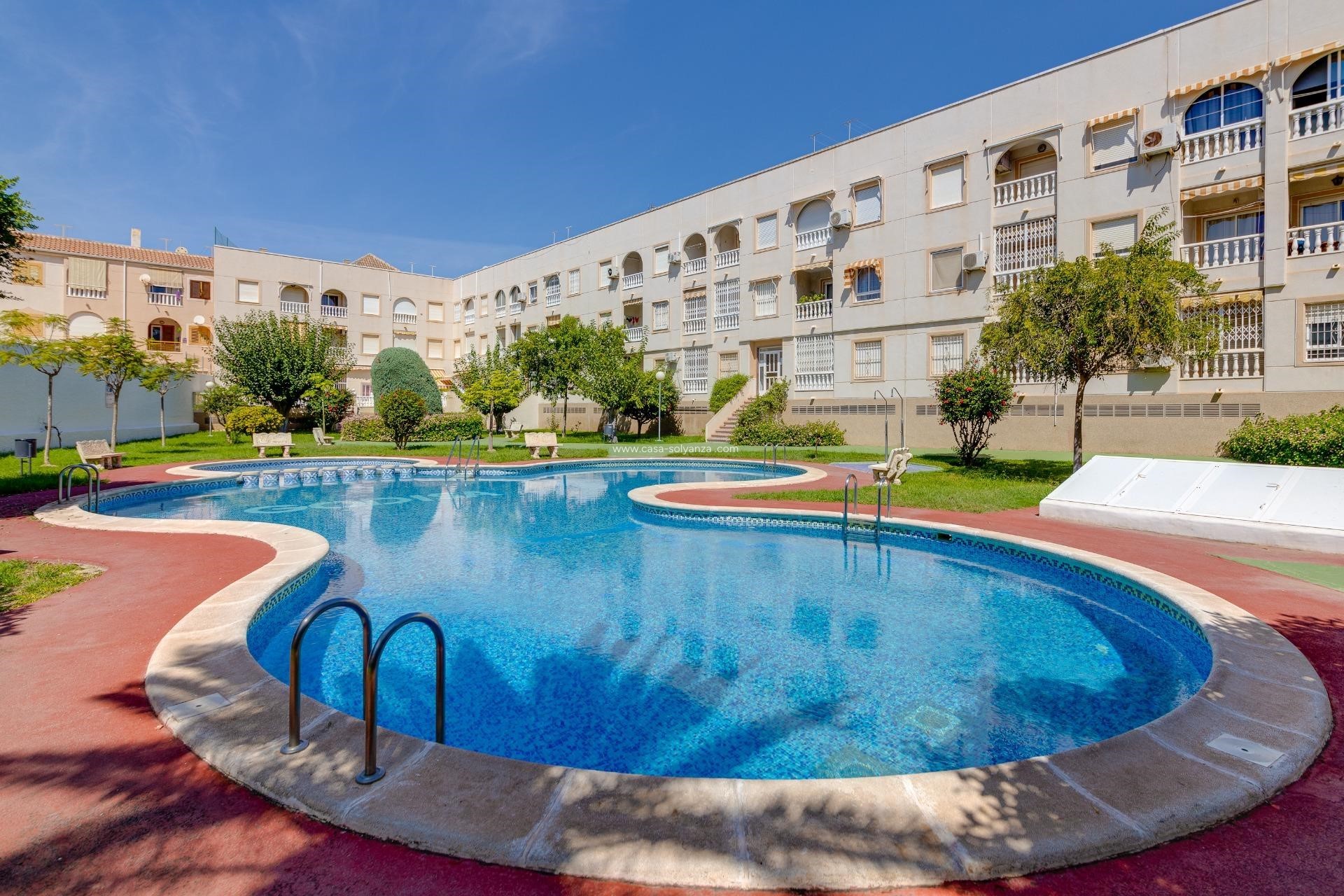Revente - Appartement - Torrevieja - Costa Blanca