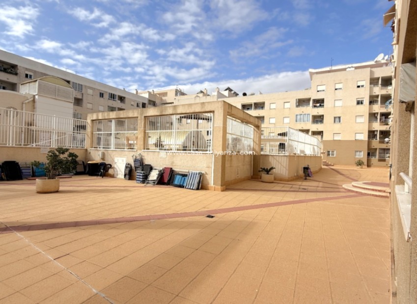 Revente - Appartement - Torrevieja - Costa Blanca