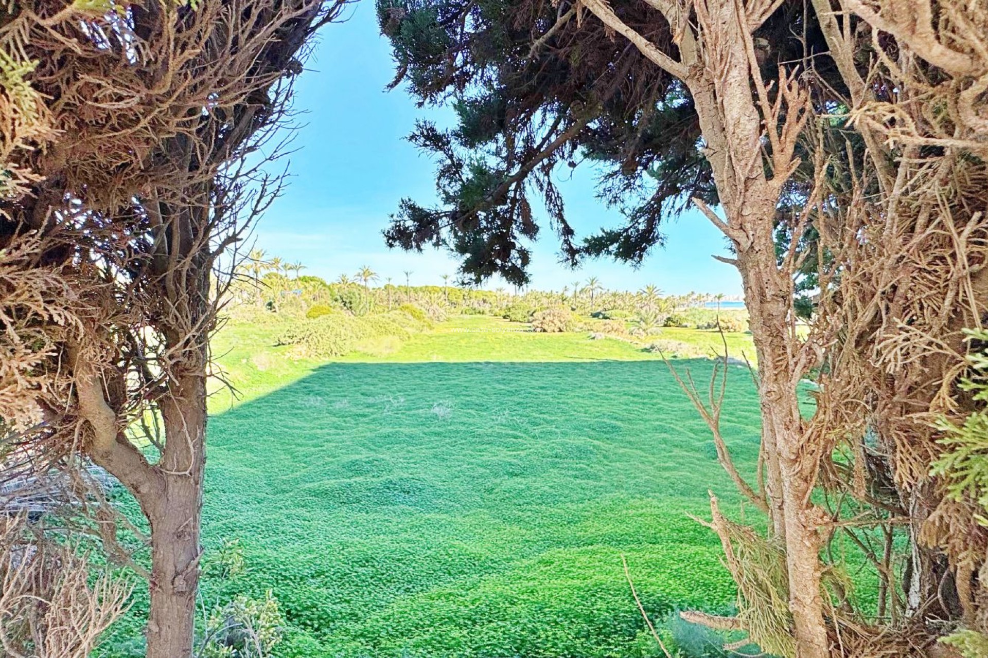 Revente - Appartement - Torrevieja - Costa Blanca