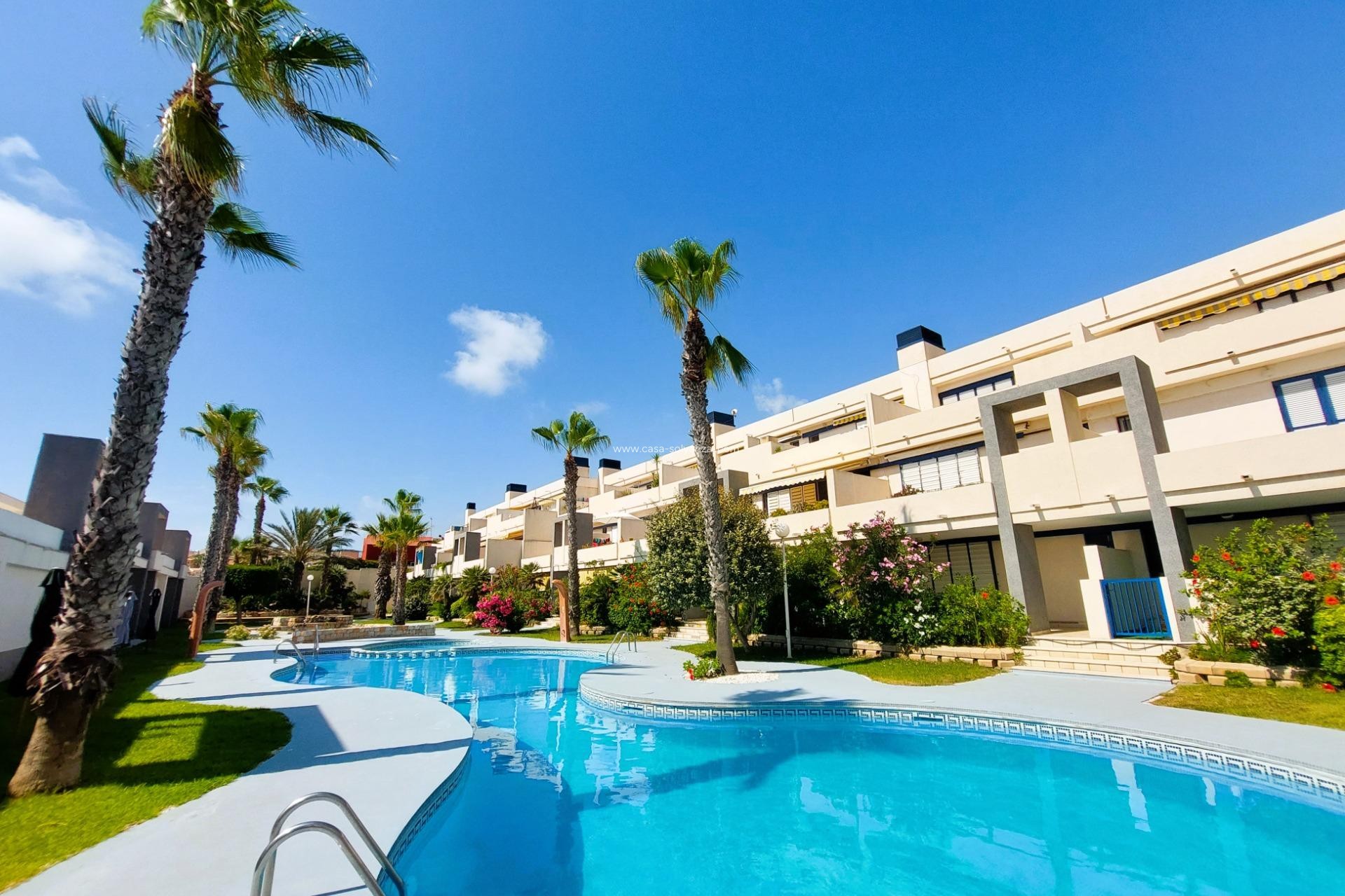 Revente - Appartement - Torrevieja - Costa Blanca