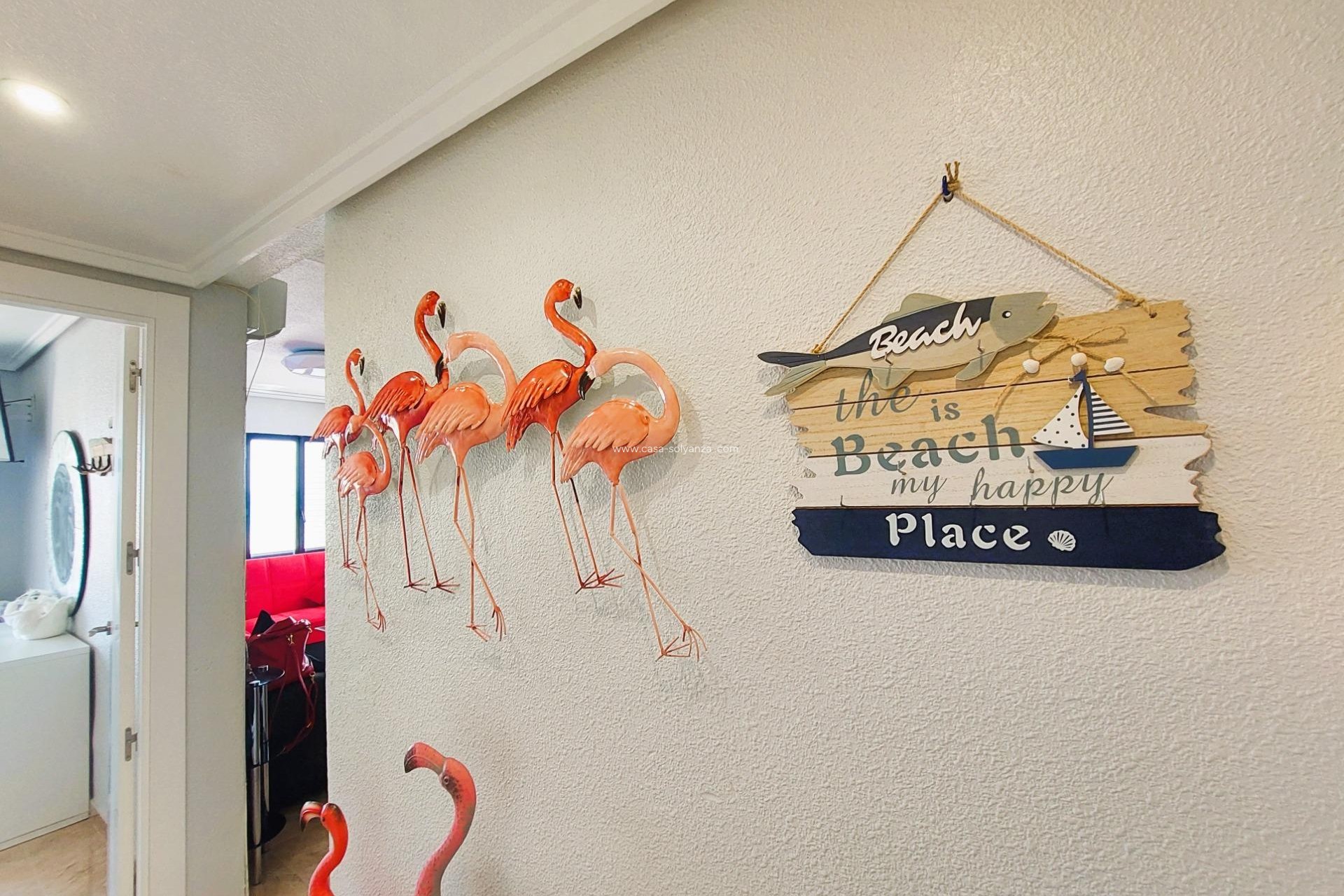 Revente - Appartement - Torrevieja - Costa Blanca