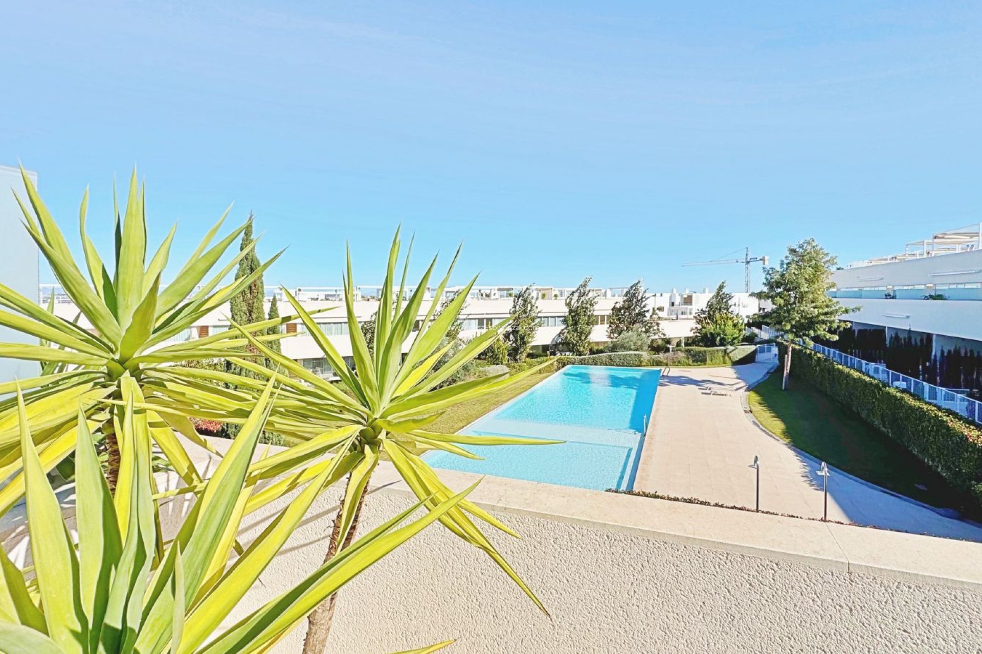 Revente - Appartement - Torrevieja - Costa Blanca