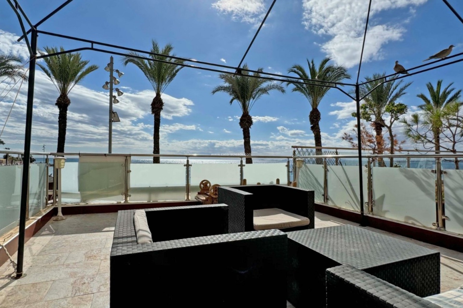 Revente - Appartement - Torrevieja - Costa Blanca