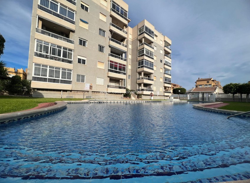 Revente - Appartement - Torrevieja - Costa Blanca